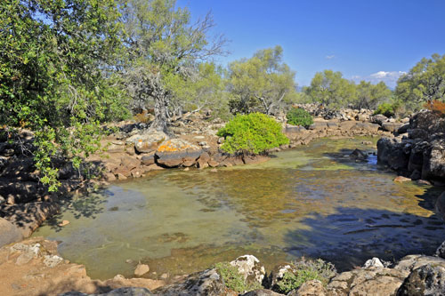 As Piscinas Water Pools