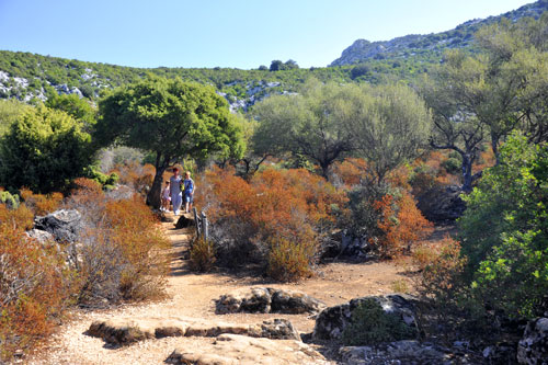 Hiking trails on Su Golgo