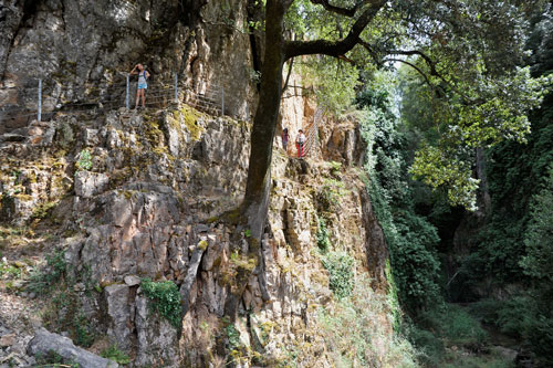 Hiking Trail to the Waterfall