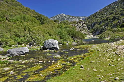 Am Fiume Cedrino