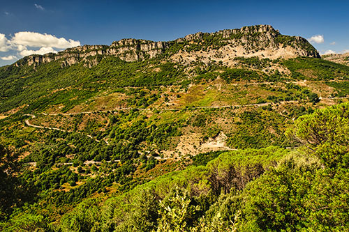 Taccu di Osini